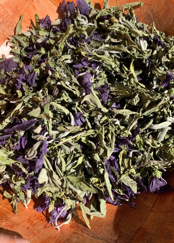 Infusions simples